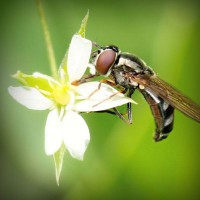 /album/lmg-saude-ocuapcional/photolia-a02-jpg/