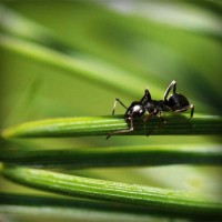 /album/lmg-saude-ocuapcional/photolia-a05-jpg/