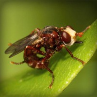 /album/lmg-saude-ocuapcional/photolia-a06-jpg/