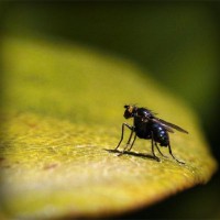 /album/lmg-saude-ocuapcional/photolia-a07-jpg/